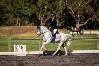 Medium 4B Pony