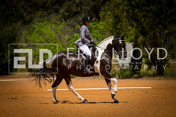 untitled-0526