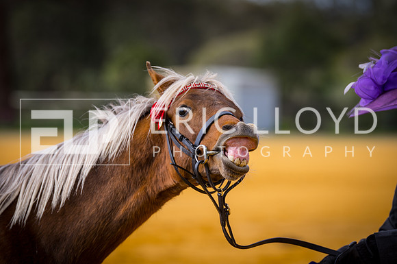 untitled-0053-2