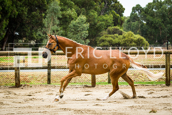 ERIC2348