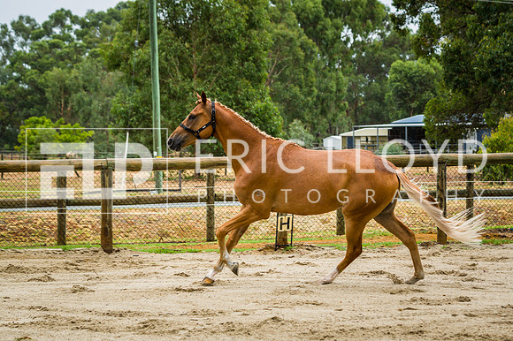 ERIC2356