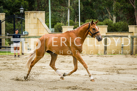 ERIC2361