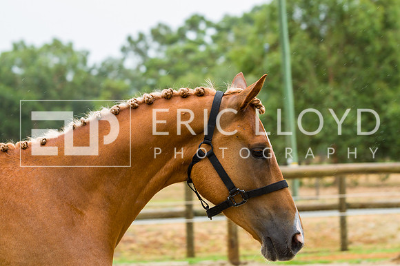 ERIC2372