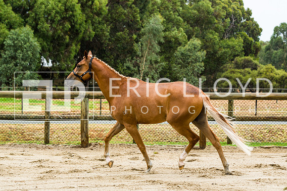 ERIC2383