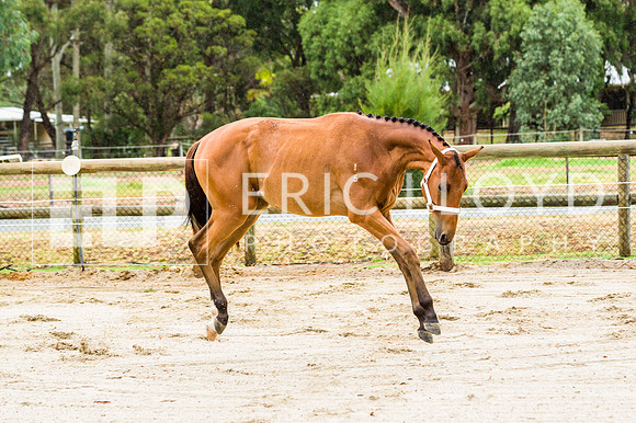 ERIC2410