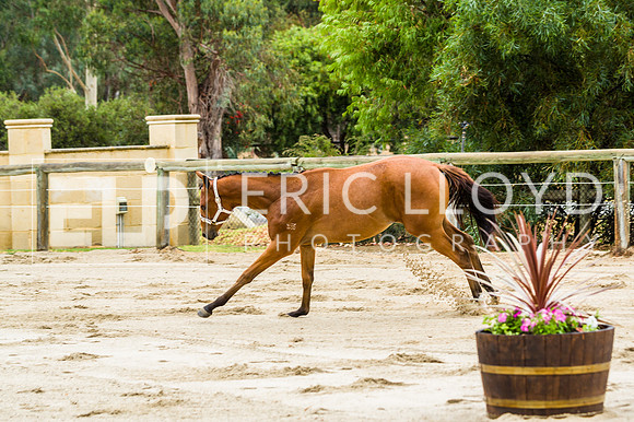 ERIC2418