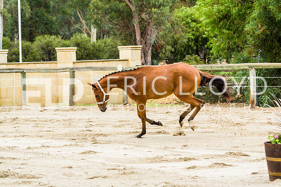 ERIC2419
