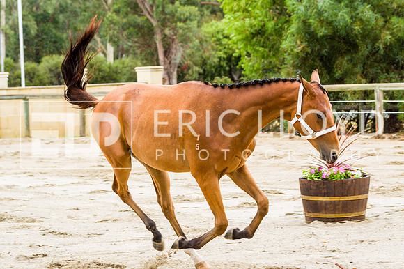 ERIC2424