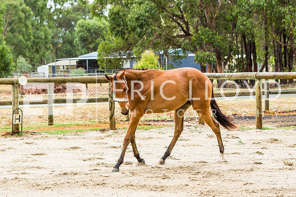 ERIC2440