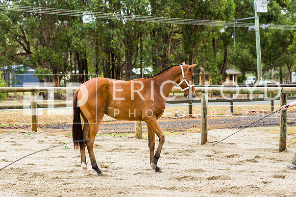 ERIC2441
