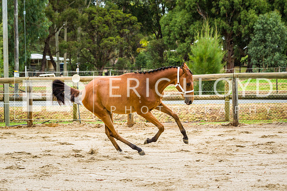 ERIC2456