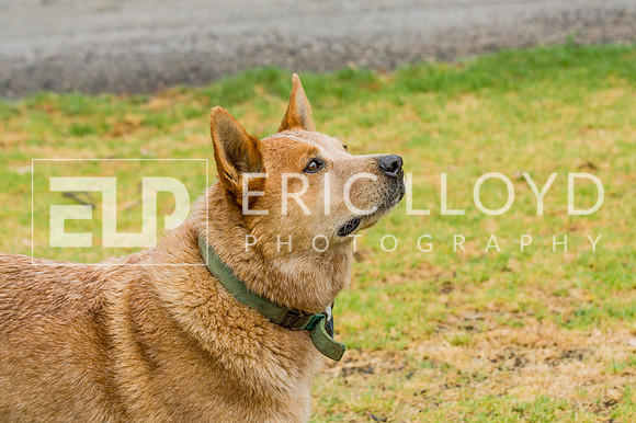 ERIC2474