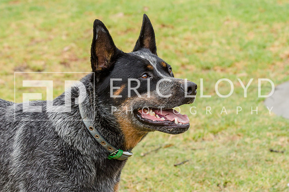 ERIC2476