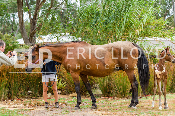 ERIC2501
