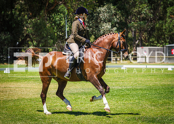 IMGP0066