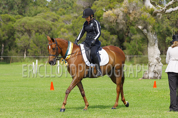 ARCA WH 2014-6624