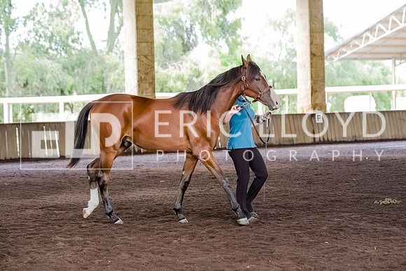 IMGP0486