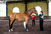 Bree Park Royal Expression
