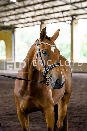 IMGP1426