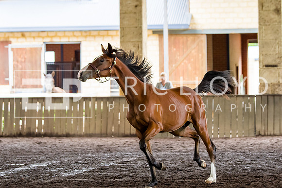IMGP1659