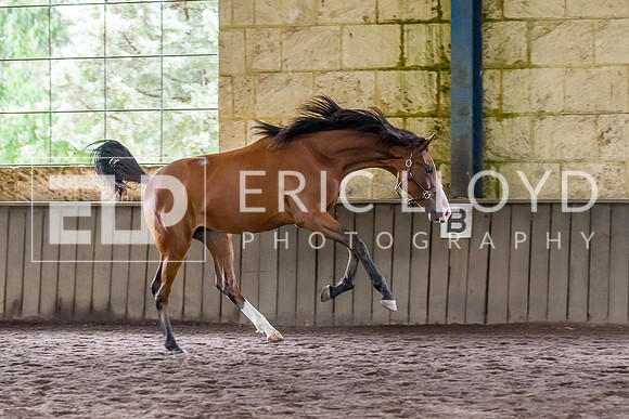 IMGP1677