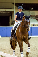 Uwe Spenlen - Lateral Work - Creating a Universe of Willingness and Harmony with the Horse Workshop