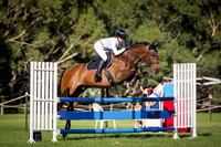 1. EWA Jumping Novice Series 1.05cm for registered horses 6pts &under Article 238.2.2