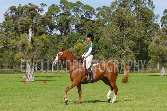 ARCA WH 2014-6540