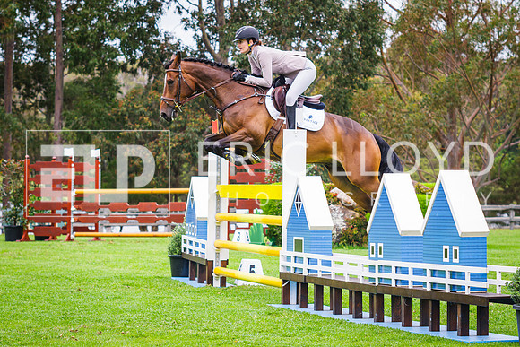 IMGP3562