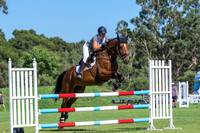 2A  EquineWorld Amateur B 1m - 1.04m and 2B. Open 1m - 1.04m