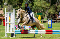 3. 45cm Article 238.2.2  245.3 (AM7) + Interschool Qualifier