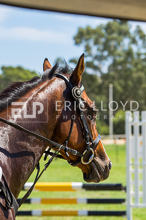 IMEL4264