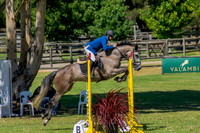 1. Saddles Plus Open 1.10m AM2