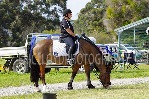 ARCA WH 2014-6615