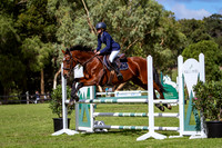 22B. Off The Track 90cm