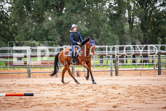 untitled-0249