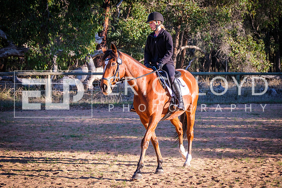 DSCF4267