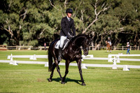 Dressage