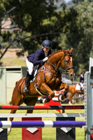 Showjumping