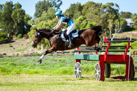 Open Novice