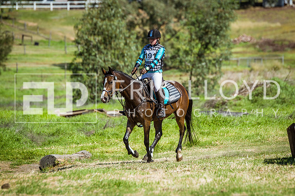 untitled-7026