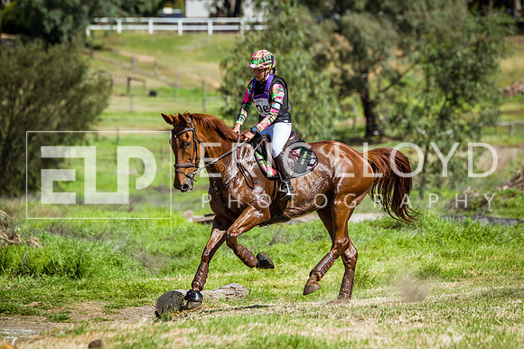 untitled-7104