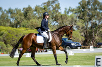 Participant Novice 2.2