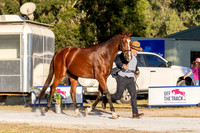 Thursday Trot Up
