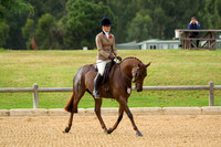 Show Hunter Galloways & Hacks