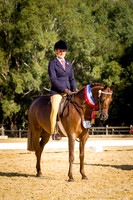 Show Ponies