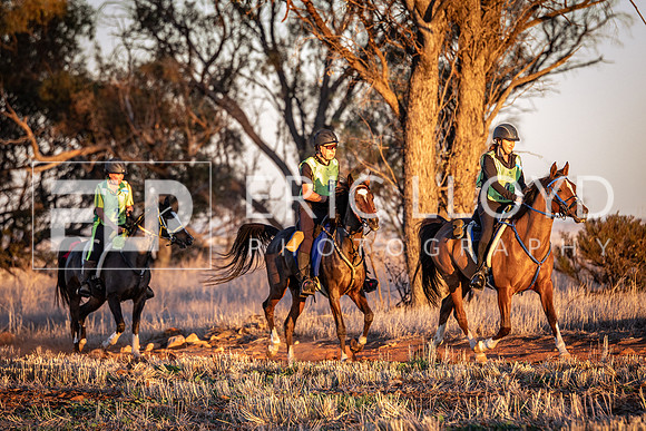 IMGP2179
