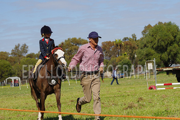 Bev Ag 2014-5173