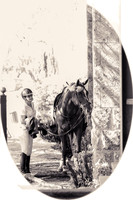 CLASS 3B NG EQUINE SERVICES 1.10m JUNIOR JUMPER