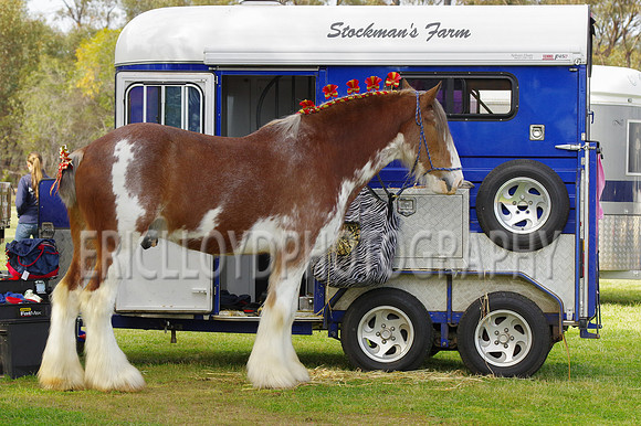 Bev Ag 2014-5091
